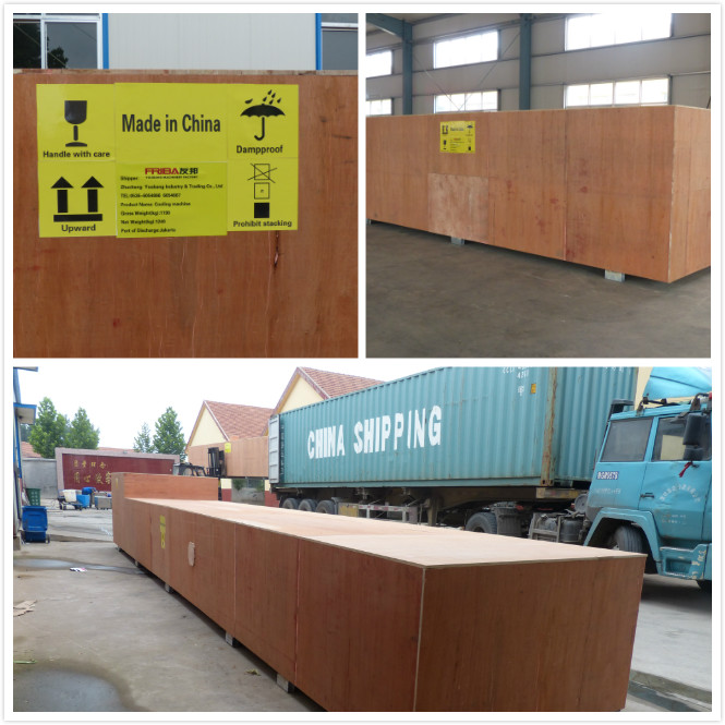 Une machine plus sèche de dégringolade de Producion d'encapsulation de SS304 Softgel 7