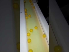 SOFTGEL PAINTBALL ENCAPSULATION MACHINE