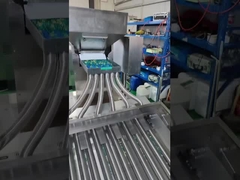 Machine d'encapsulation de Softgel
