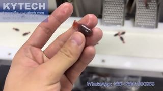 Machine d'encapsulation de softgel servo en forme de poisson